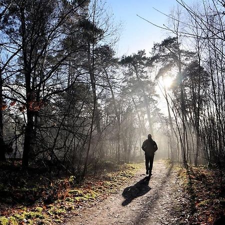 Natuurhuisje Oisterwijk Villa Luaran gambar