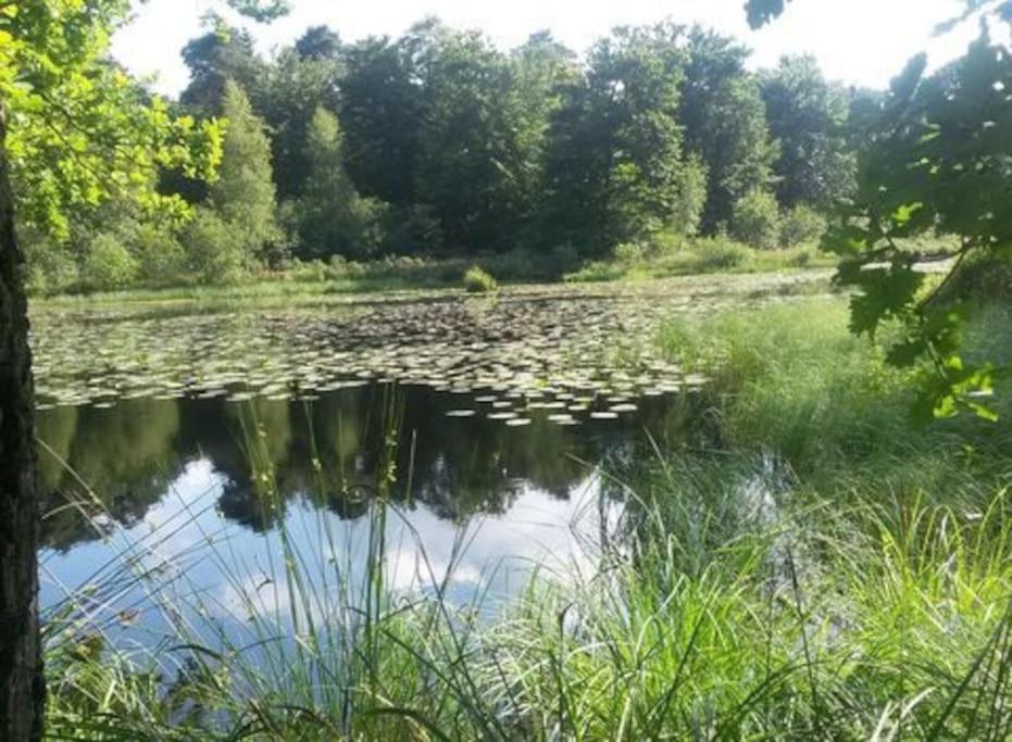 Natuurhuisje Oisterwijk Villa Luaran gambar