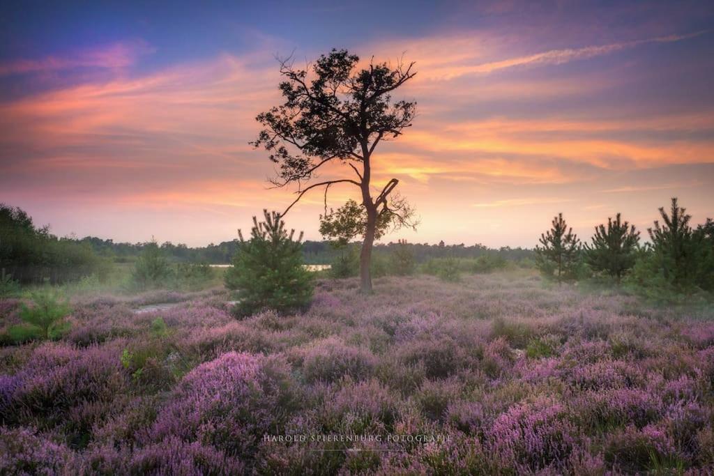 Natuurhuisje Oisterwijk Villa Luaran gambar