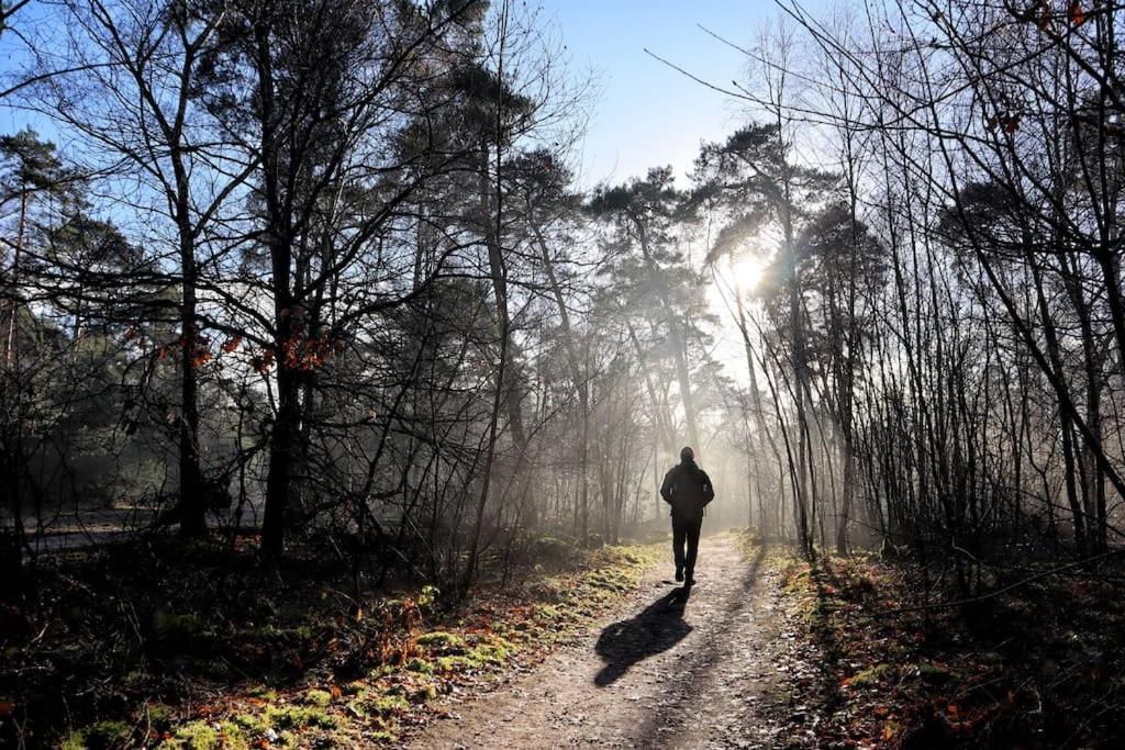 Natuurhuisje Oisterwijk Villa Luaran gambar