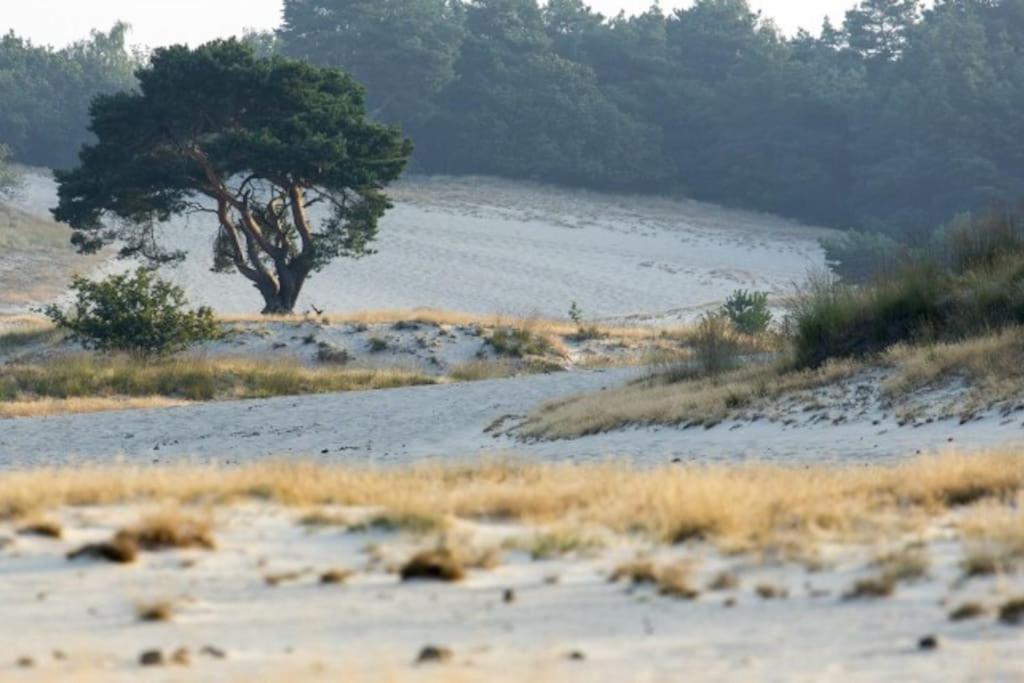 Natuurhuisje Oisterwijk Villa Luaran gambar