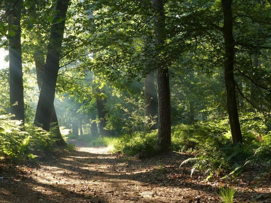 Natuurhuisje Oisterwijk Villa Luaran gambar