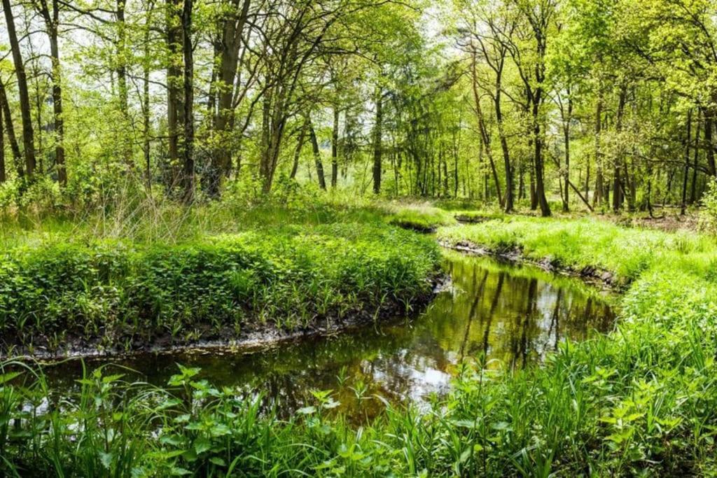 Natuurhuisje Oisterwijk Villa Luaran gambar