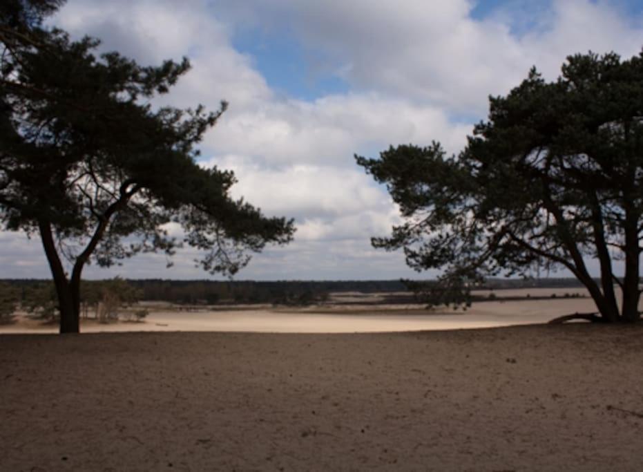 Natuurhuisje Oisterwijk Villa Luaran gambar