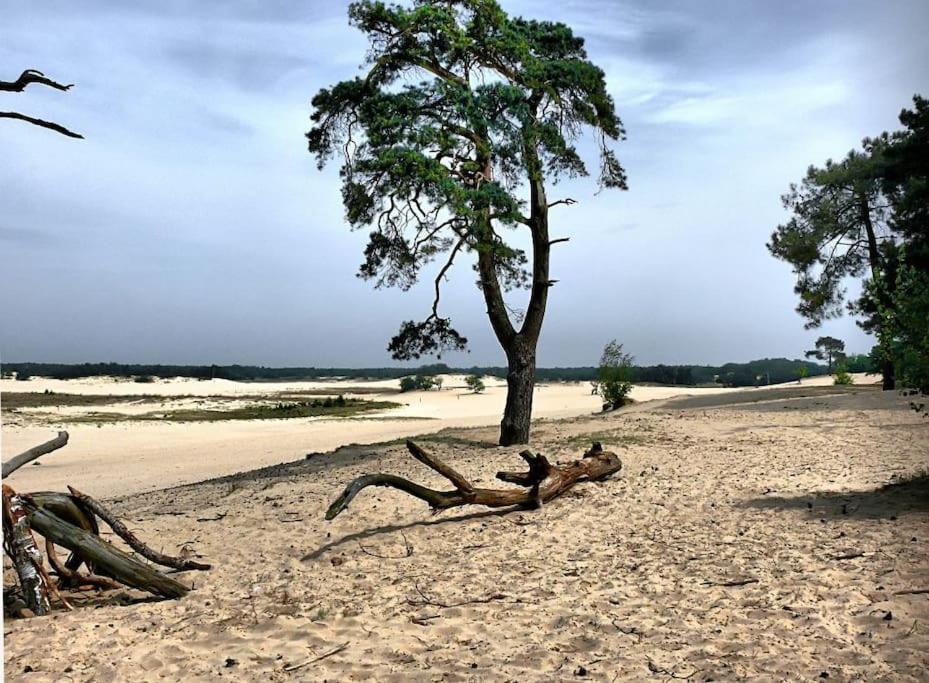 Natuurhuisje Oisterwijk Villa Luaran gambar